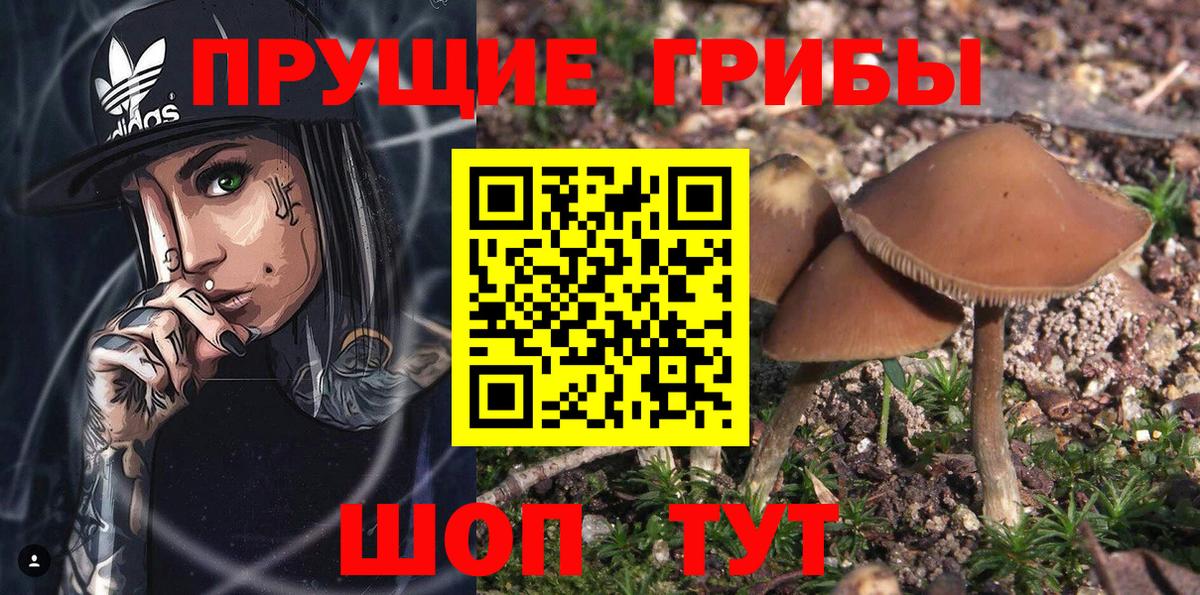 Галлюциногенные грибы Magic Shrooms Светлоград