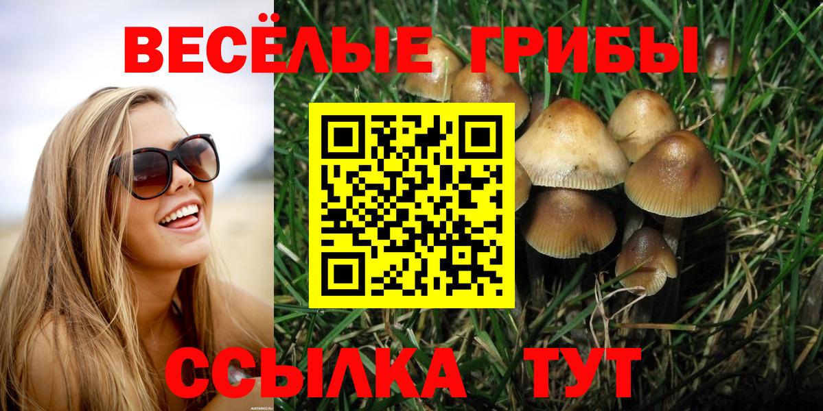 Галлюциногенные грибы прущие грибы  Вход с VPN  Светлоград  Псилоцибиновые грибы GOLDEN TEACHER 
